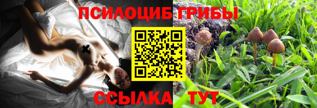 Галлюциногенные грибы GOLDEN TEACHER Дедовск